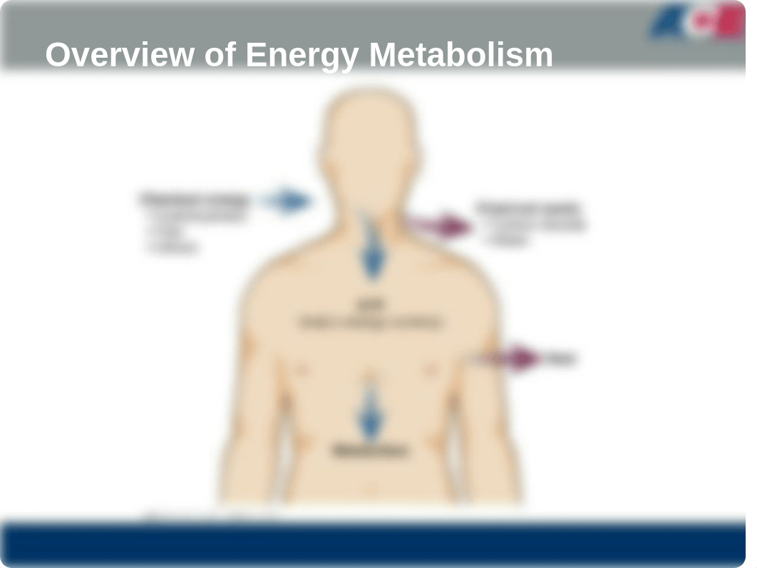 Bioenergetics-2013.pdf_dihltn3vxl0_page5