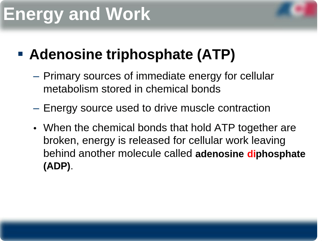 Bioenergetics-2013.pdf_dihltn3vxl0_page4