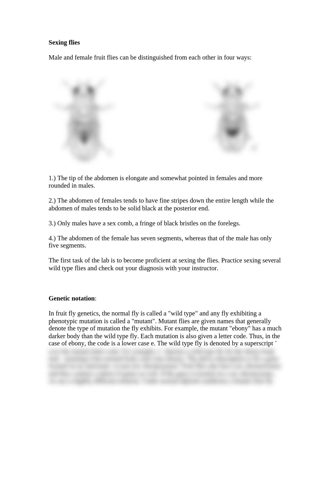 Drosophila lab 2013_dihygvdw84p_page2