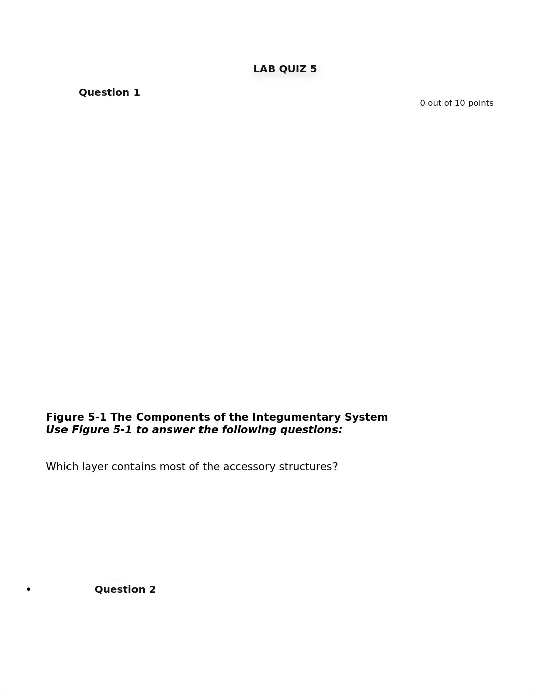 Lab Quiz 5-Integumentary System_diicco7dctr_page1