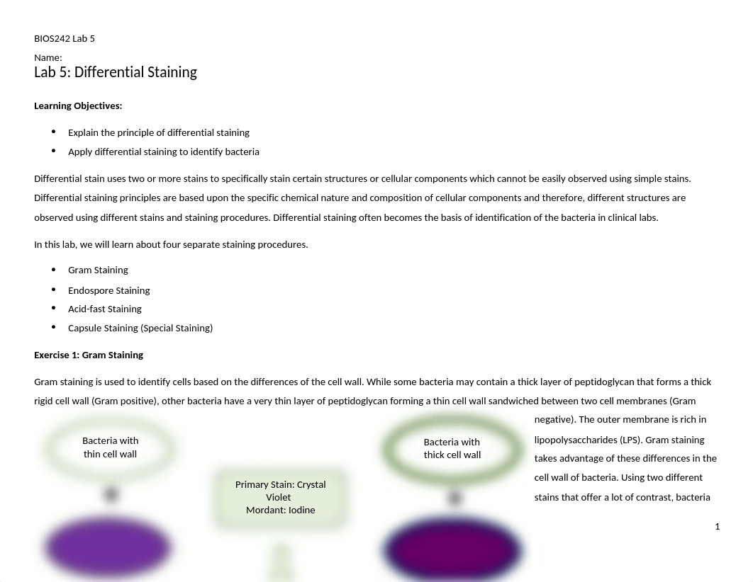 BIOS242 Week 3 Lab 5 DifferentialStainupdated-1.docx_diiiw4vppkq_page1