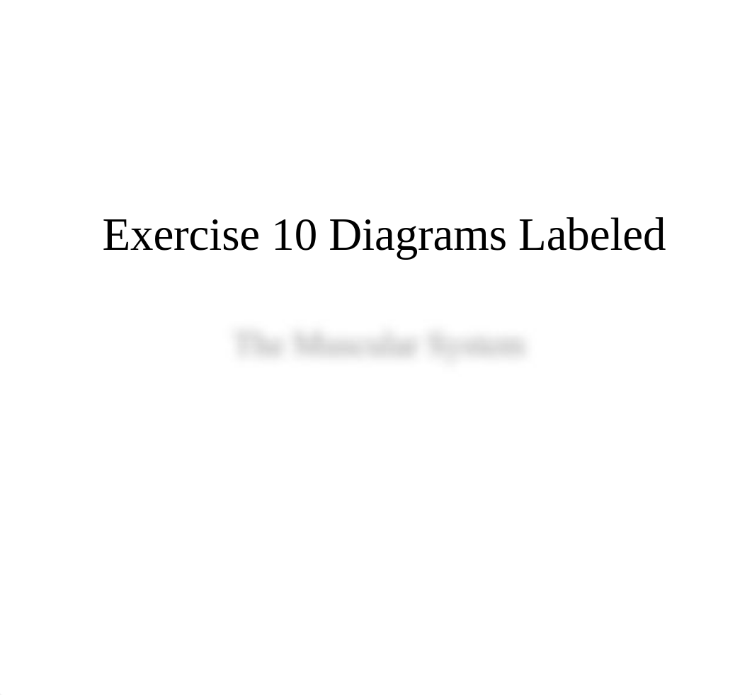 Exercise 10 Diagrams Labeled Muscular System.pptx_diij86l5sz9_page1