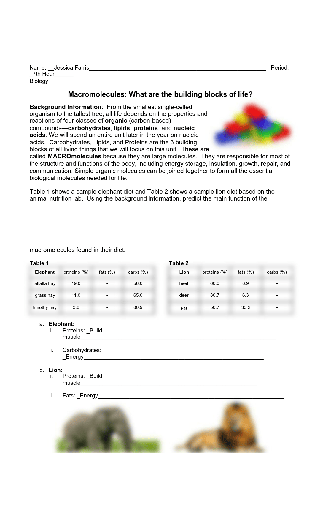 Jessica Farris - 19  Lion & Elephant Macromolecules 2019.pdf_diiw6h38myd_page1