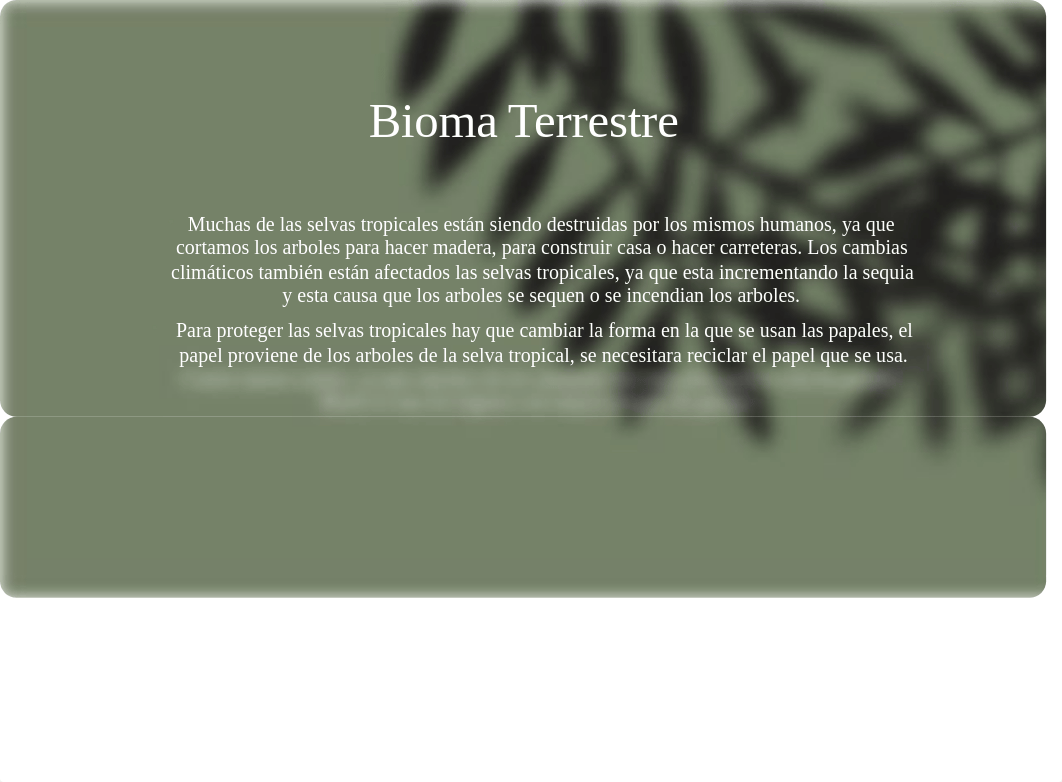 Ecosistemas de la Tierra (1).pptx_diizvpdgqza_page3