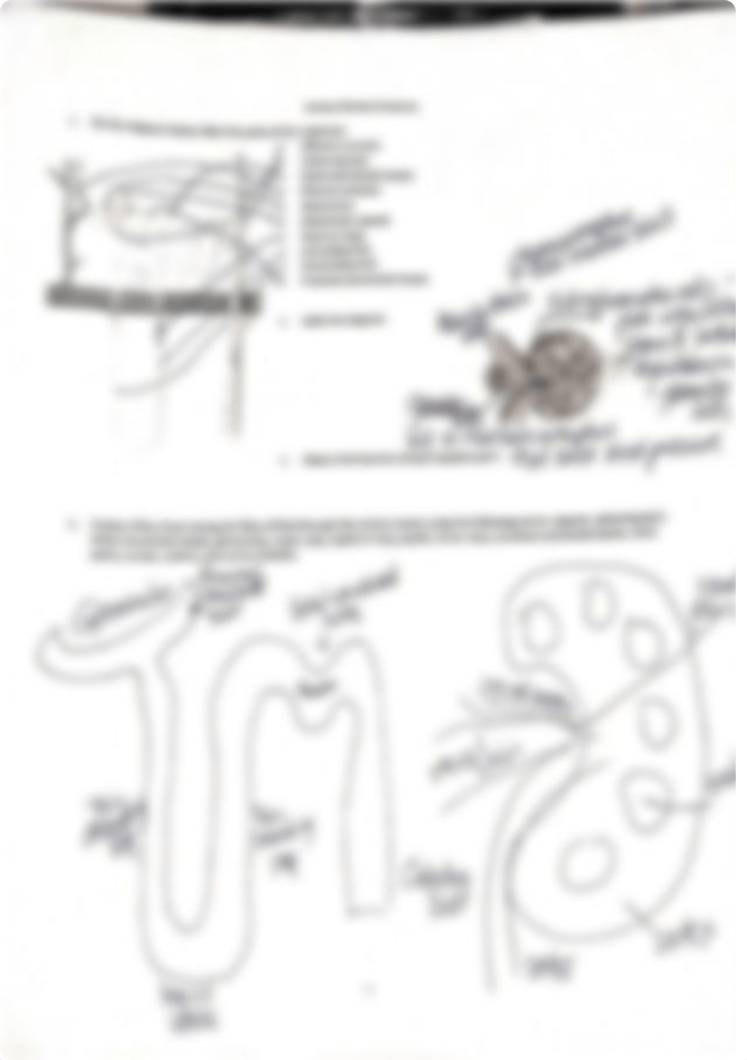 Chapter 25 EBA.pdf_diji7v57yh1_page5