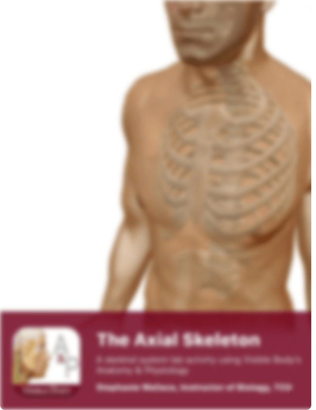 lab manual_axial skeleton_a+p.pdf_dijm9thrtfb_page1