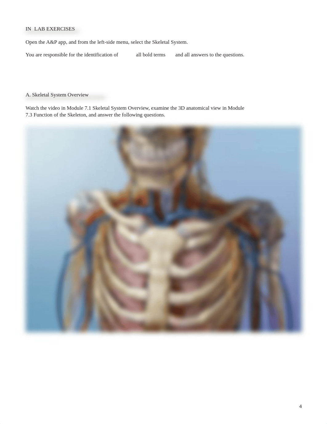 lab manual_axial skeleton_a+p.pdf_dijm9thrtfb_page4