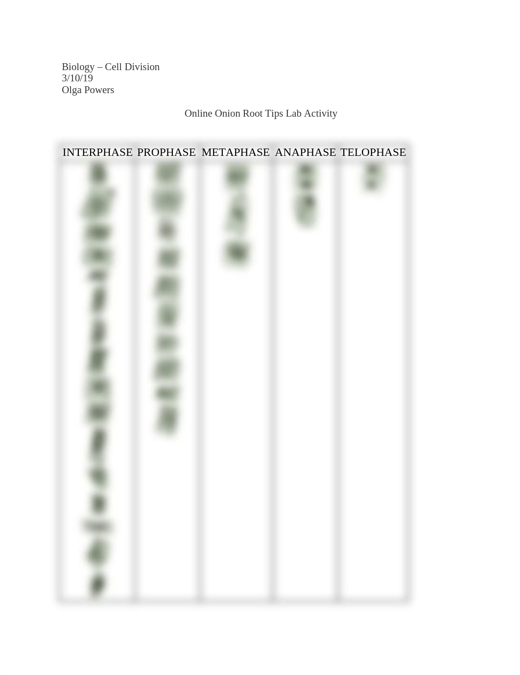 Biology Cell Division Online Onion Root Tips Lab Activity.docx_dijms7pzwin_page1