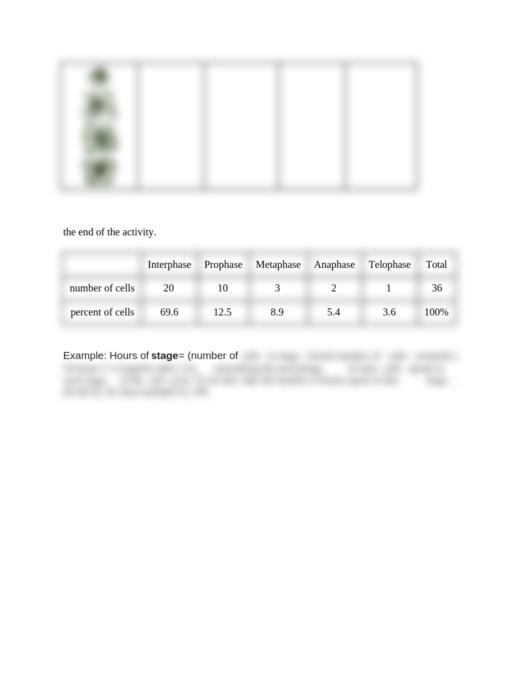 Biology Cell Division Online Onion Root Tips Lab Activity.docx_dijms7pzwin_page2