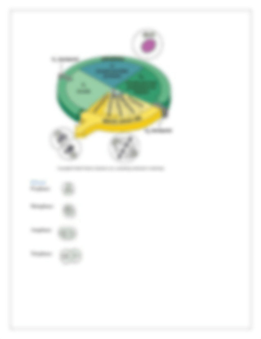 Unit 1 Exam Study Guide-Answer Key.pdf_dijoun4o279_page5