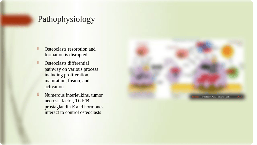 Case Study Presentation Example (2).pptx_dijx5lgwebt_page2