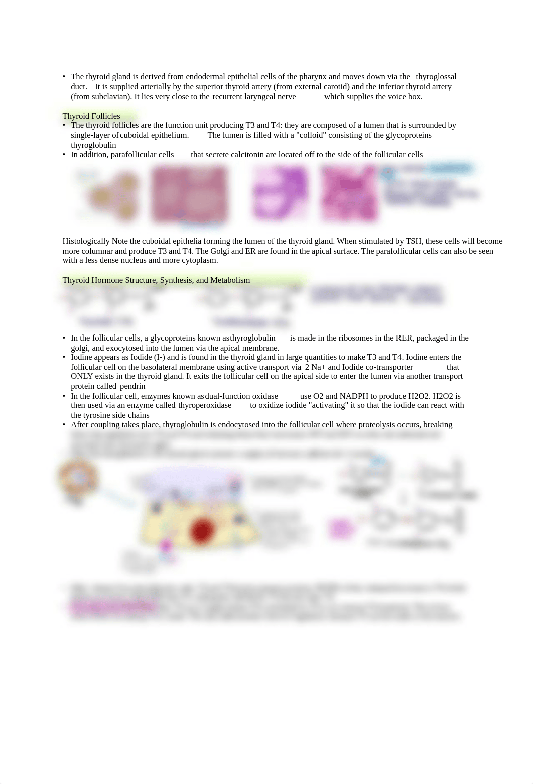 Thyroid Gland Biochemistry, Histology, and Physiology .pdf_dijz0k854r0_page1