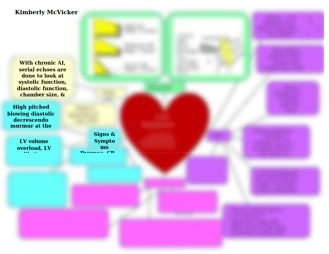 Aortic Regurgitation Concept Map.docx_dijzevh7nl6_page1