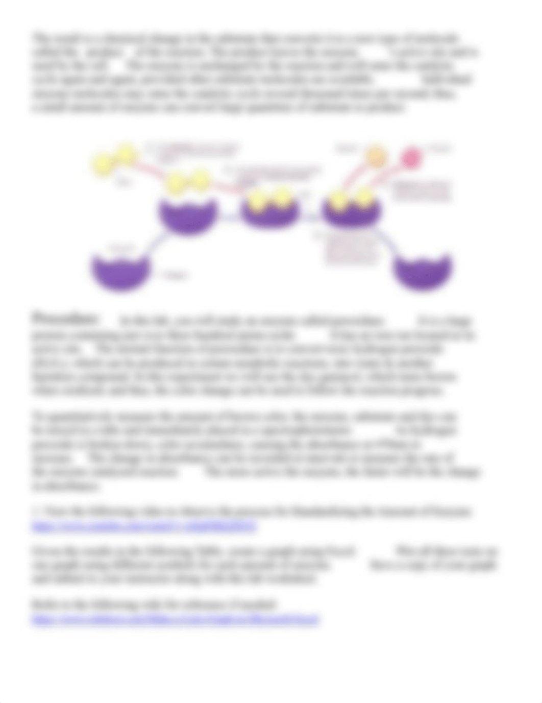 Enzymes Lab Bio121.pdf_dik2mvjlg0l_page2