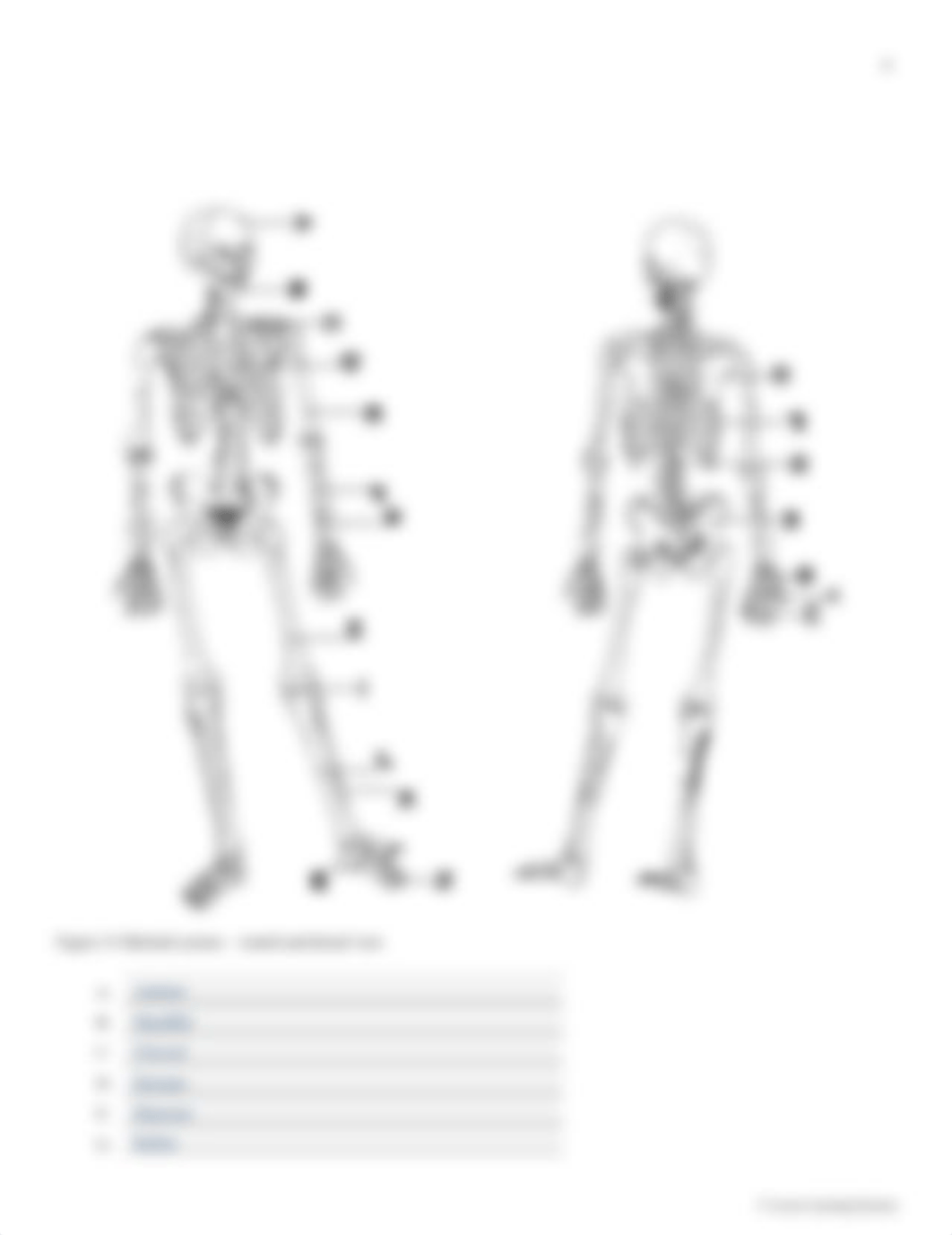 Lab_Report_10_-_Bones&Muscles_dik9q74rwdn_page4