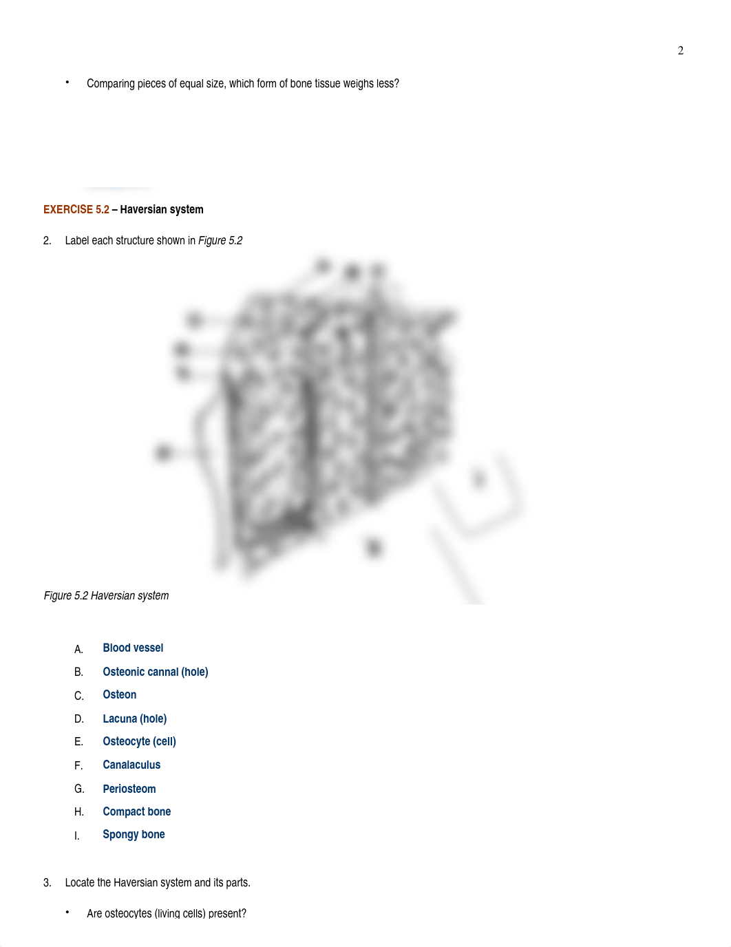 Lab_Report_10_-_Bones&Muscles_dik9q74rwdn_page2