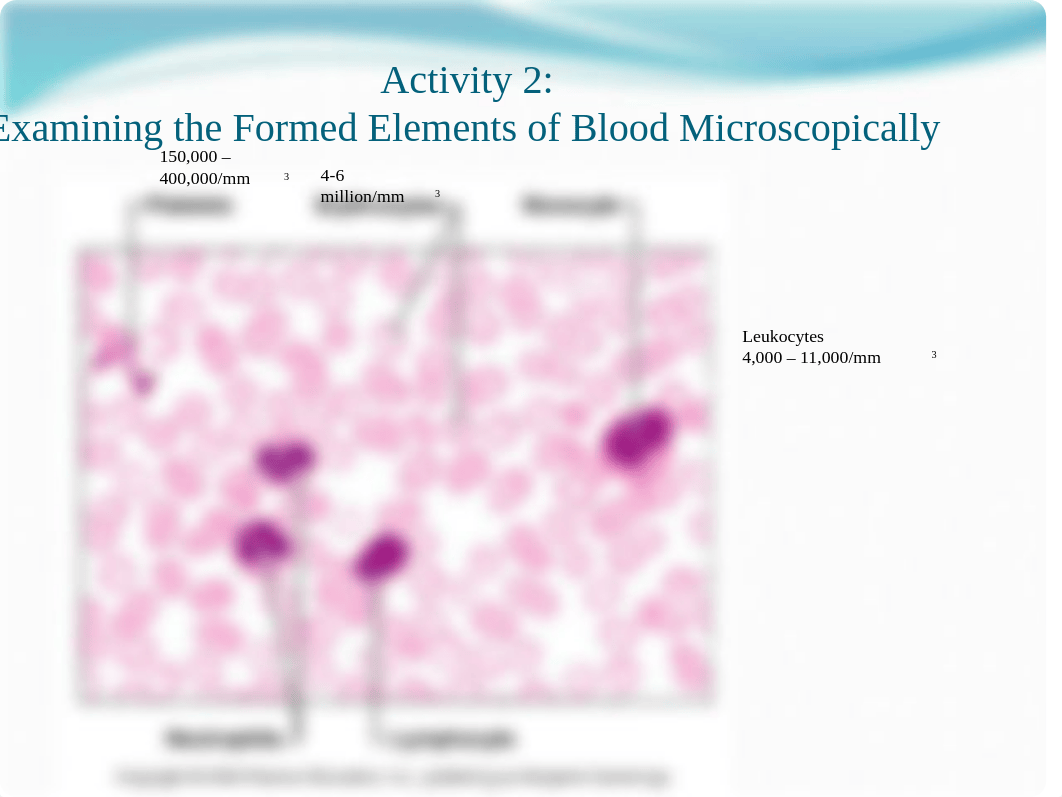 Lab Exercise 29 - blood - Student Version.pptx_dikb9fw04ty_page3