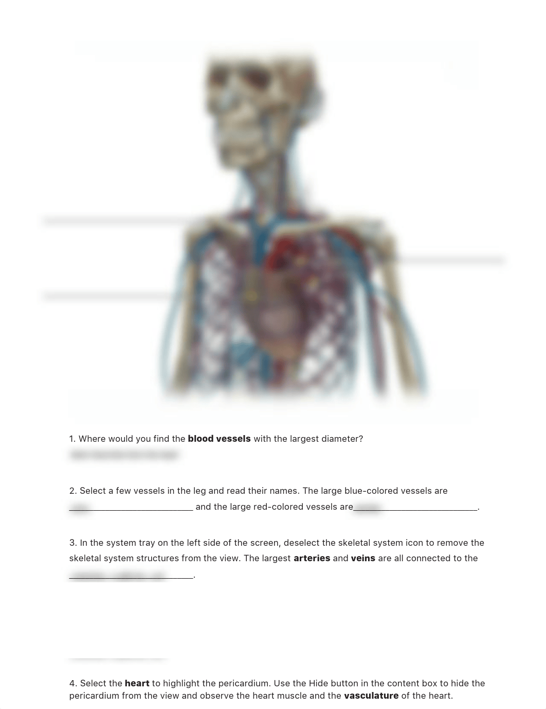 Blood and blood vessels lab.pdf_dikif7oqwj9_page3