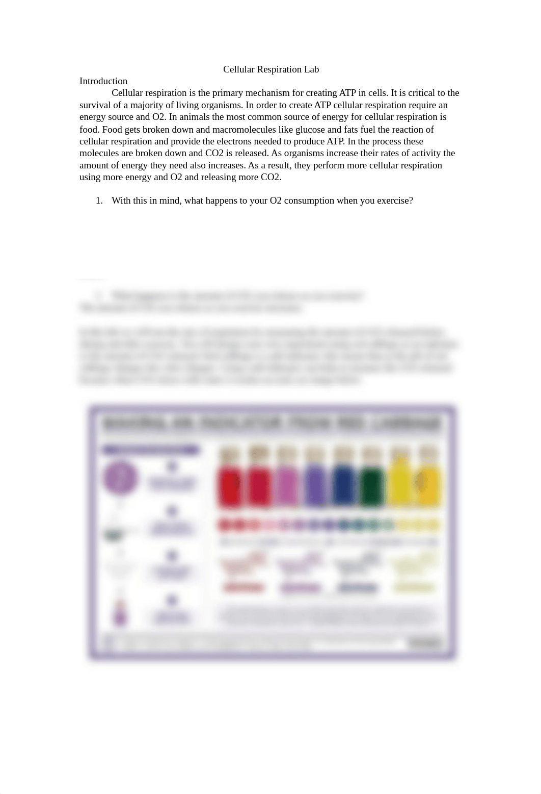 Cellular respiration lab handout-3 with answers.docx_dikq5a4nka8_page1