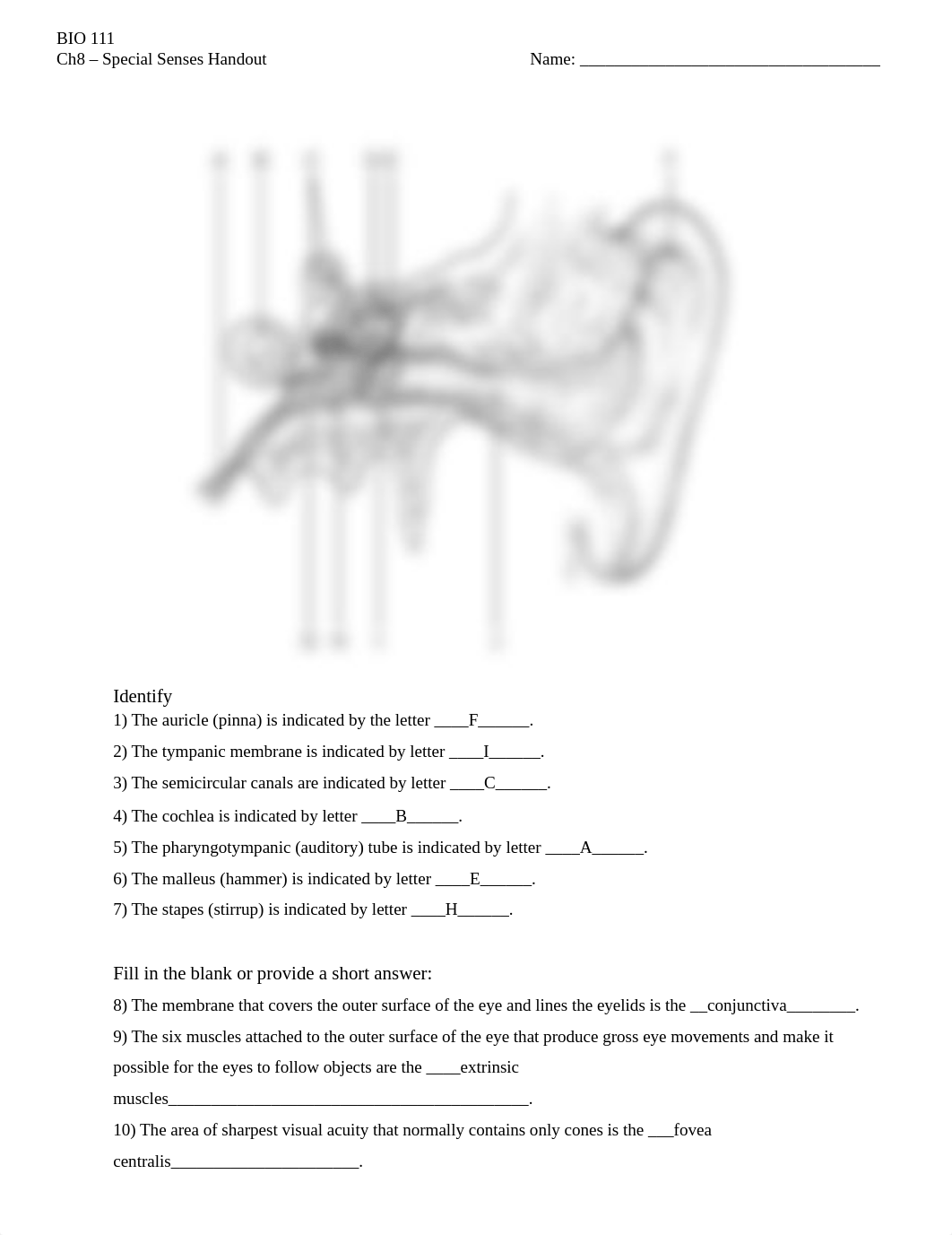 Ch 08 SpSenses Wks_v1.doc_dil2t9hbi3p_page1