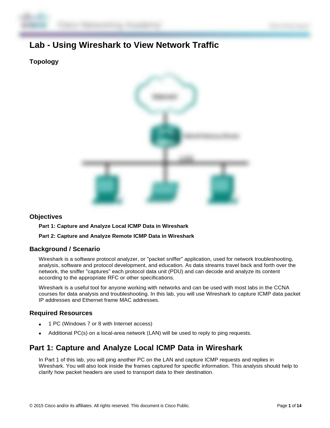 smcneil - 3.4.1.2 Lab - Using Wireshark to View Network Traffic_dil8s5go2qm_page1