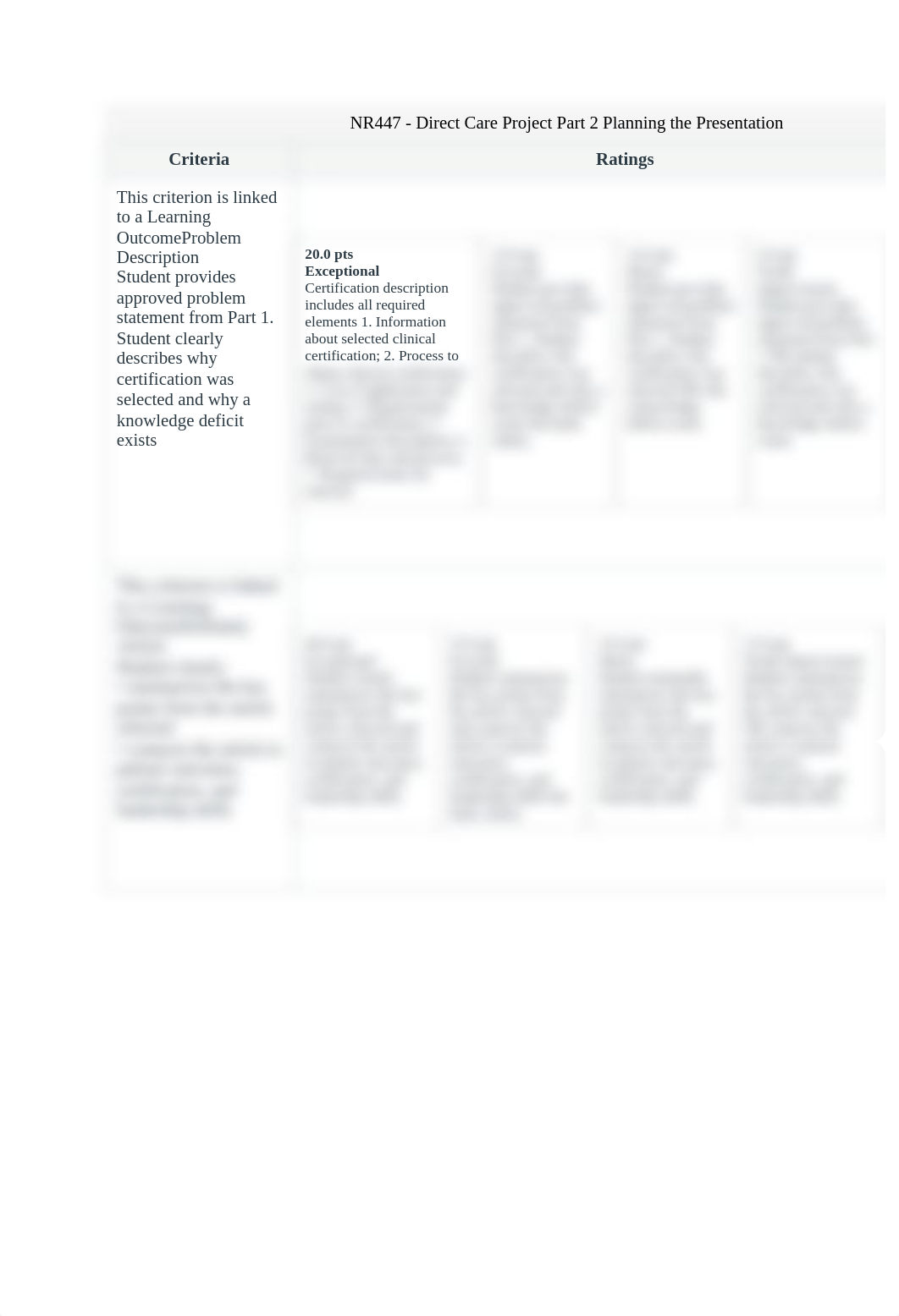 NR447gradingrubrics.docx_dila5g49emj_page2