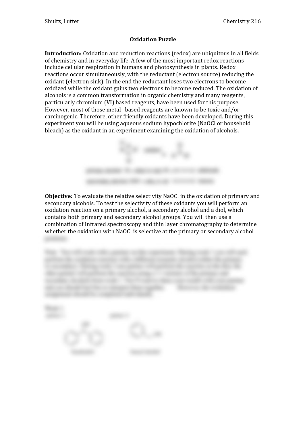 Oxidation+Puzzle+Procedure_dilamn4b8wg_page1