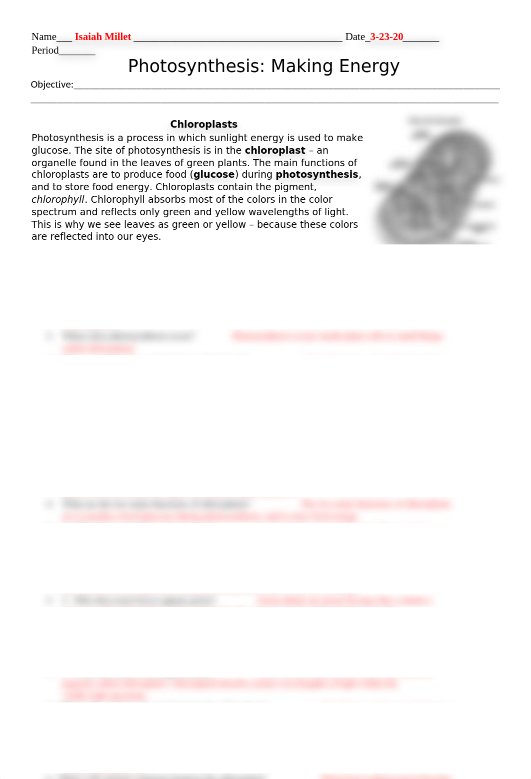 (Completed)Photosynthesis-Worksheet.docx_dilbyd6fag5_page1