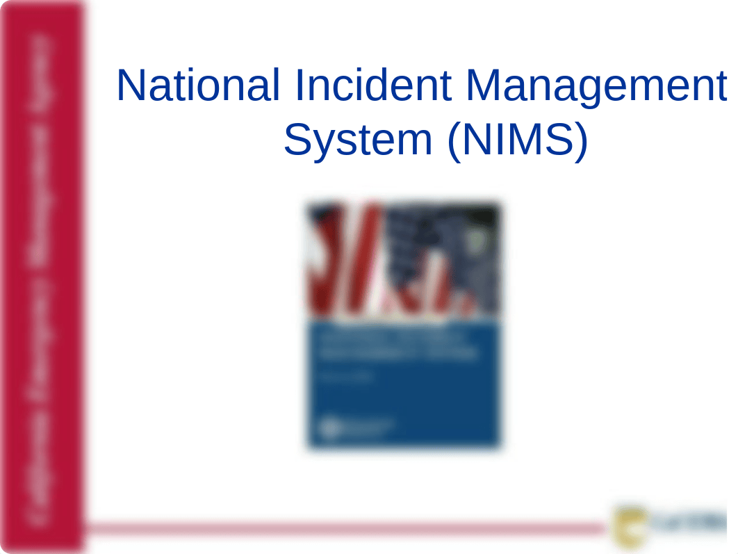 NIMS IS-700 2012.ppt_dim0gzjxdmi_page1