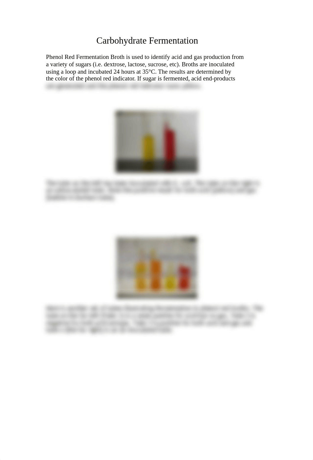 Lab 12_ 13 Biochem Test_dim4iey40os_page3