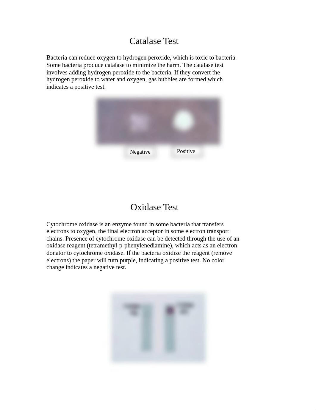 Lab 12_ 13 Biochem Test_dim4iey40os_page1