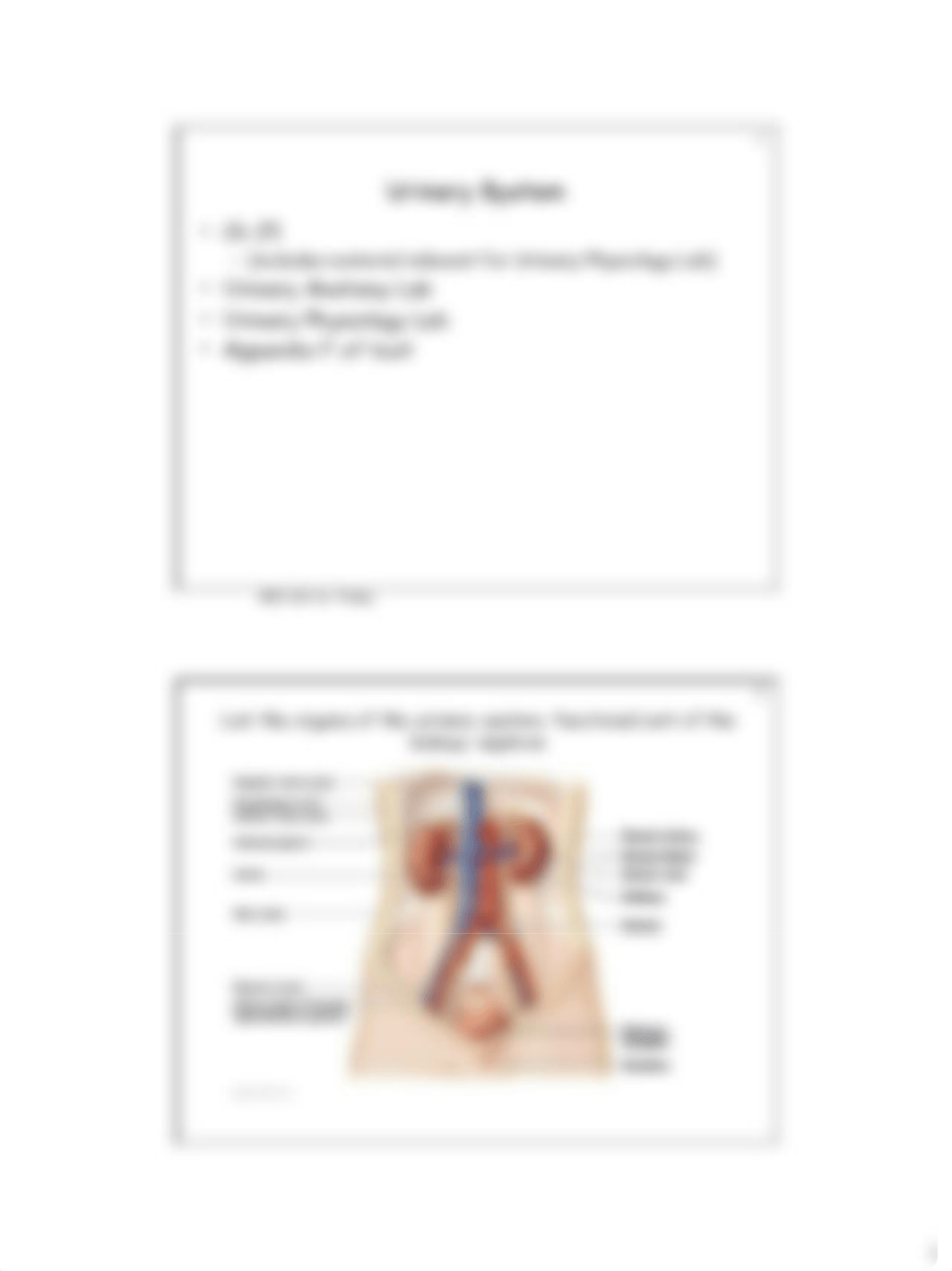 09 Ch 25 Urinary system study guide(19).pdf_dim4zgwc4nl_page1