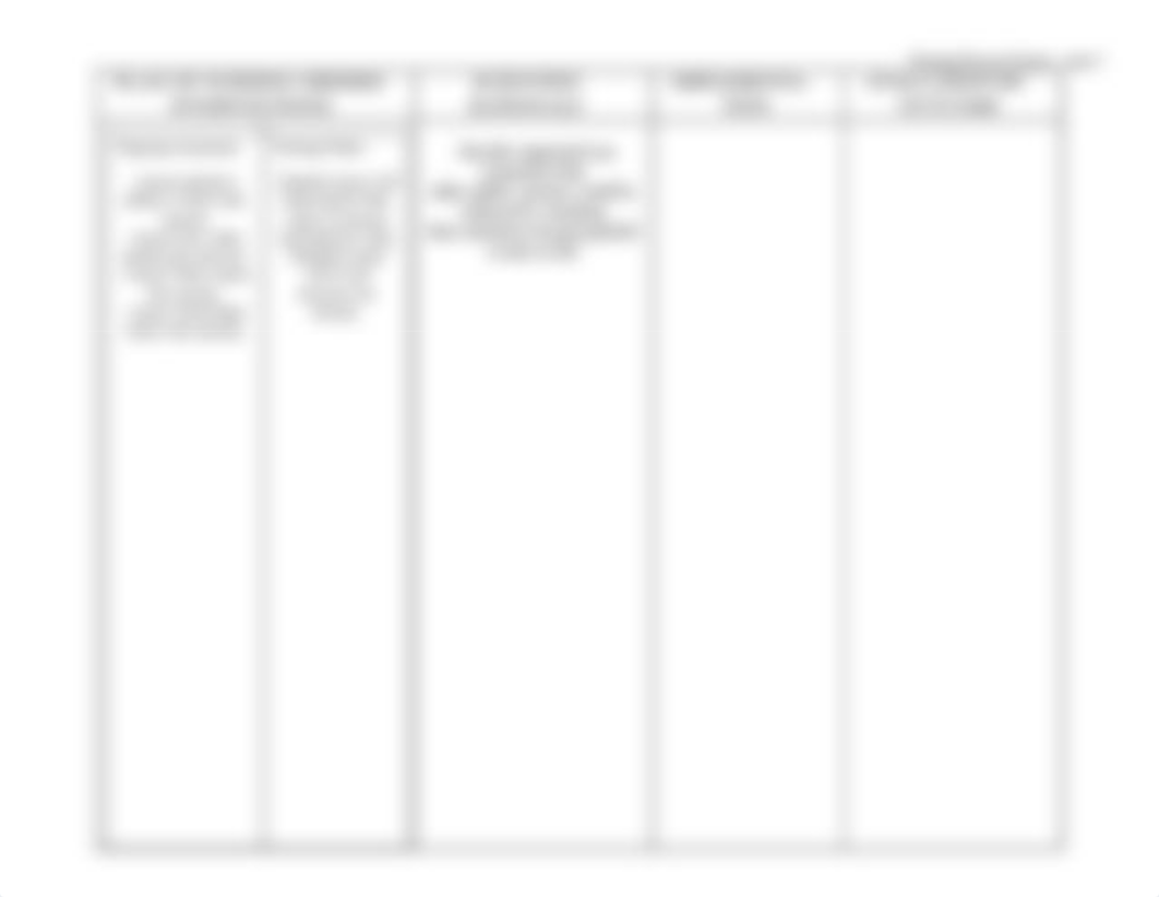 NSG CarePlan1_dim6dnpe2pe_page2