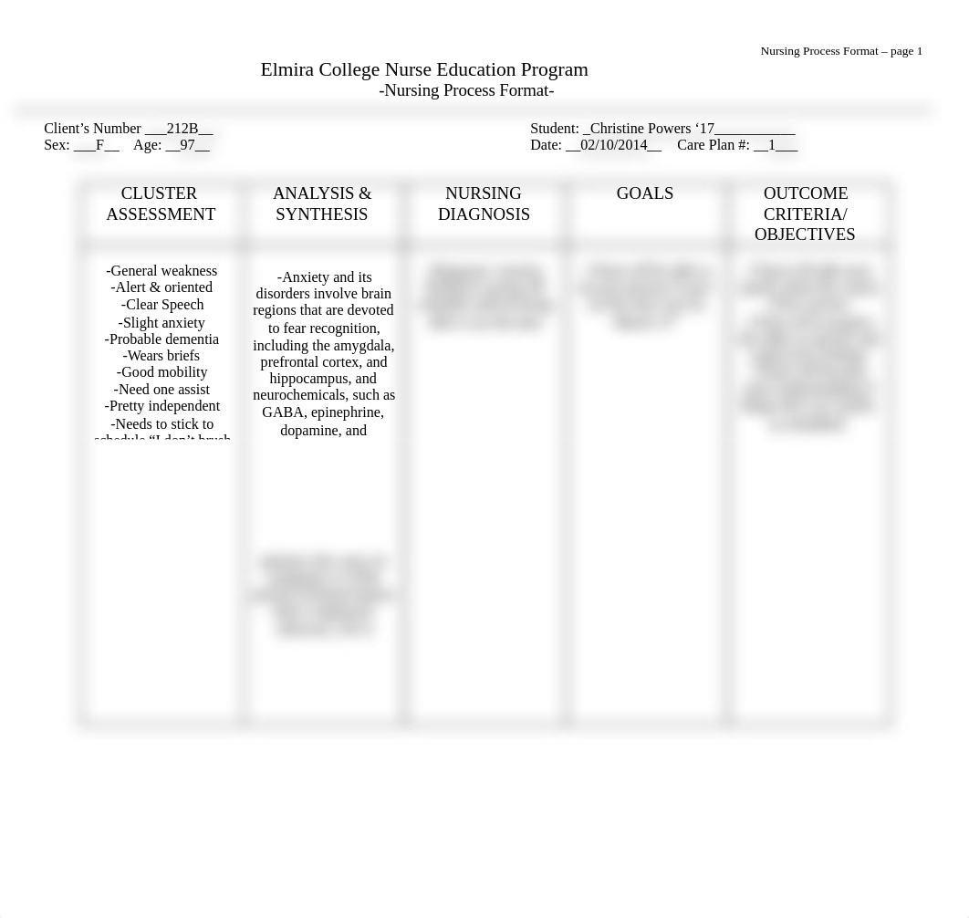 NSG CarePlan1_dim6dnpe2pe_page1