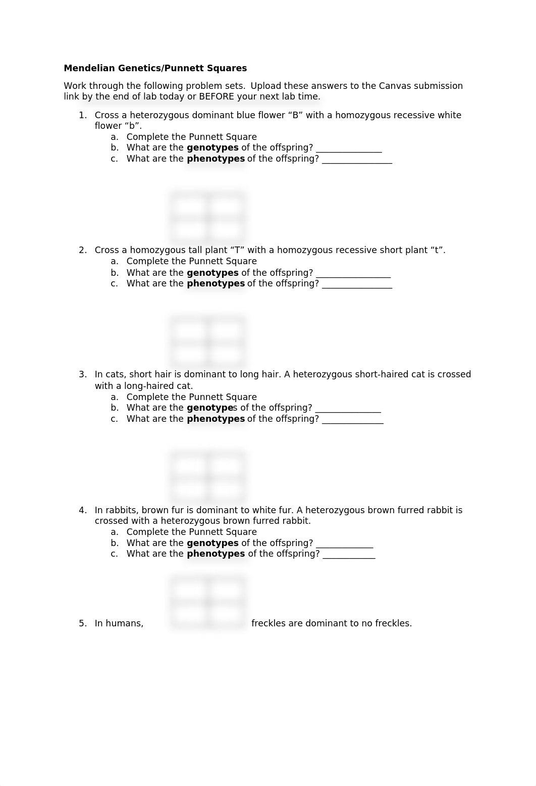 Genetics Lab Pt 2.docx_dimg74l1sfc_page1