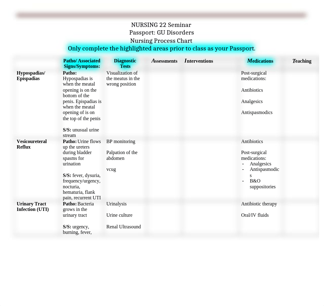 AEscribano GU Disorders Nursing Process Chart.docx_dimgp9ej6a6_page1