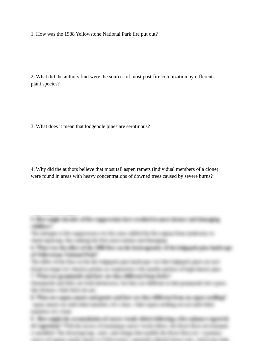 yellw stone _'s.pdf_dimmhtax74x_page1