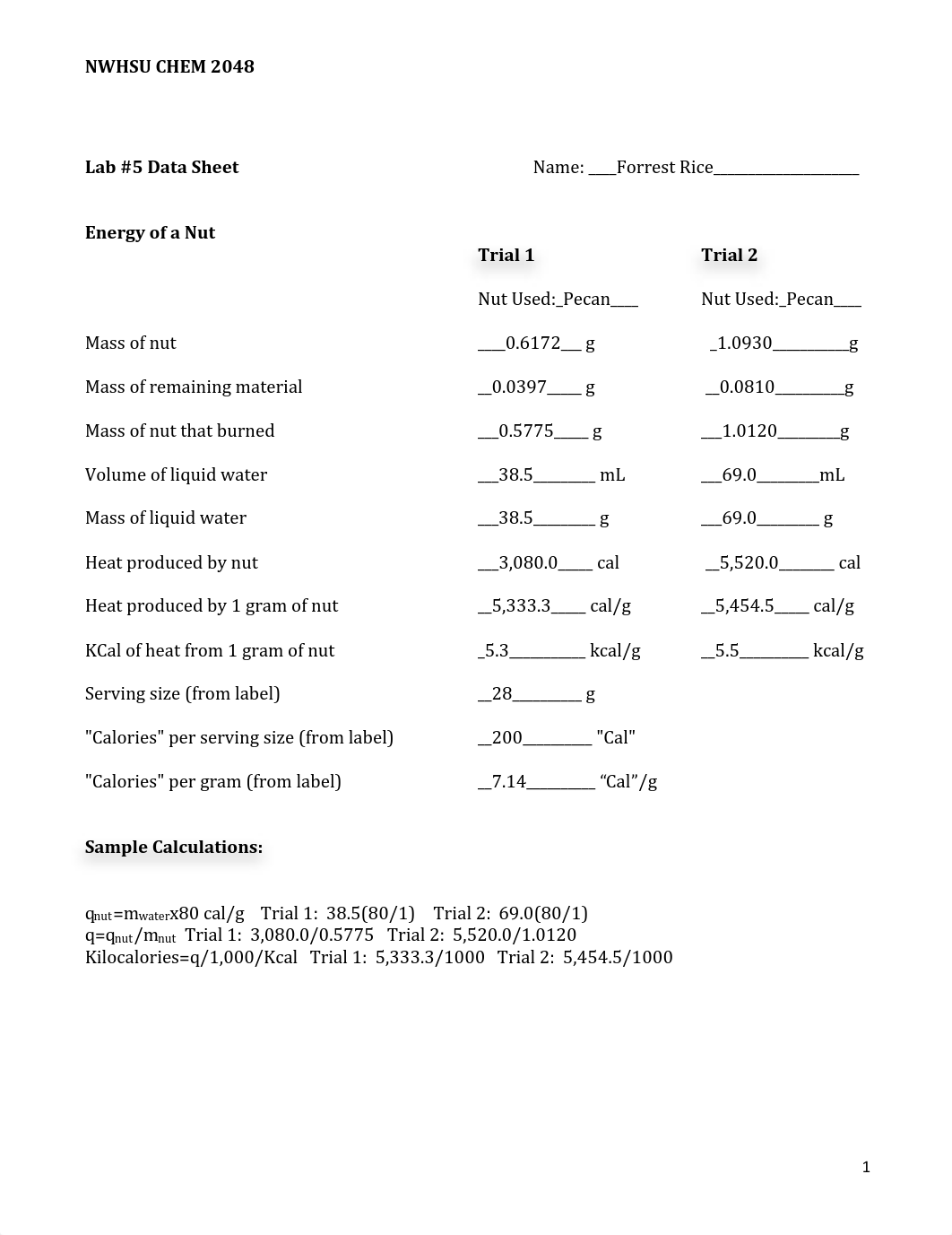 CHEM-2018_Lab_5_-_Energy_of_Nut (1).pdf_dimpbylm1ne_page1