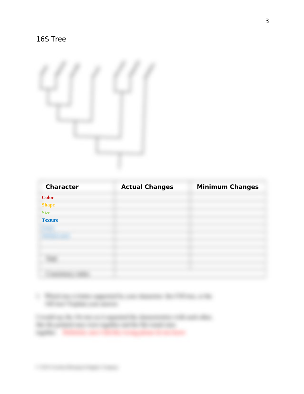 BIOL 1109 Cladistics.docx_dimrliiy2lo_page4