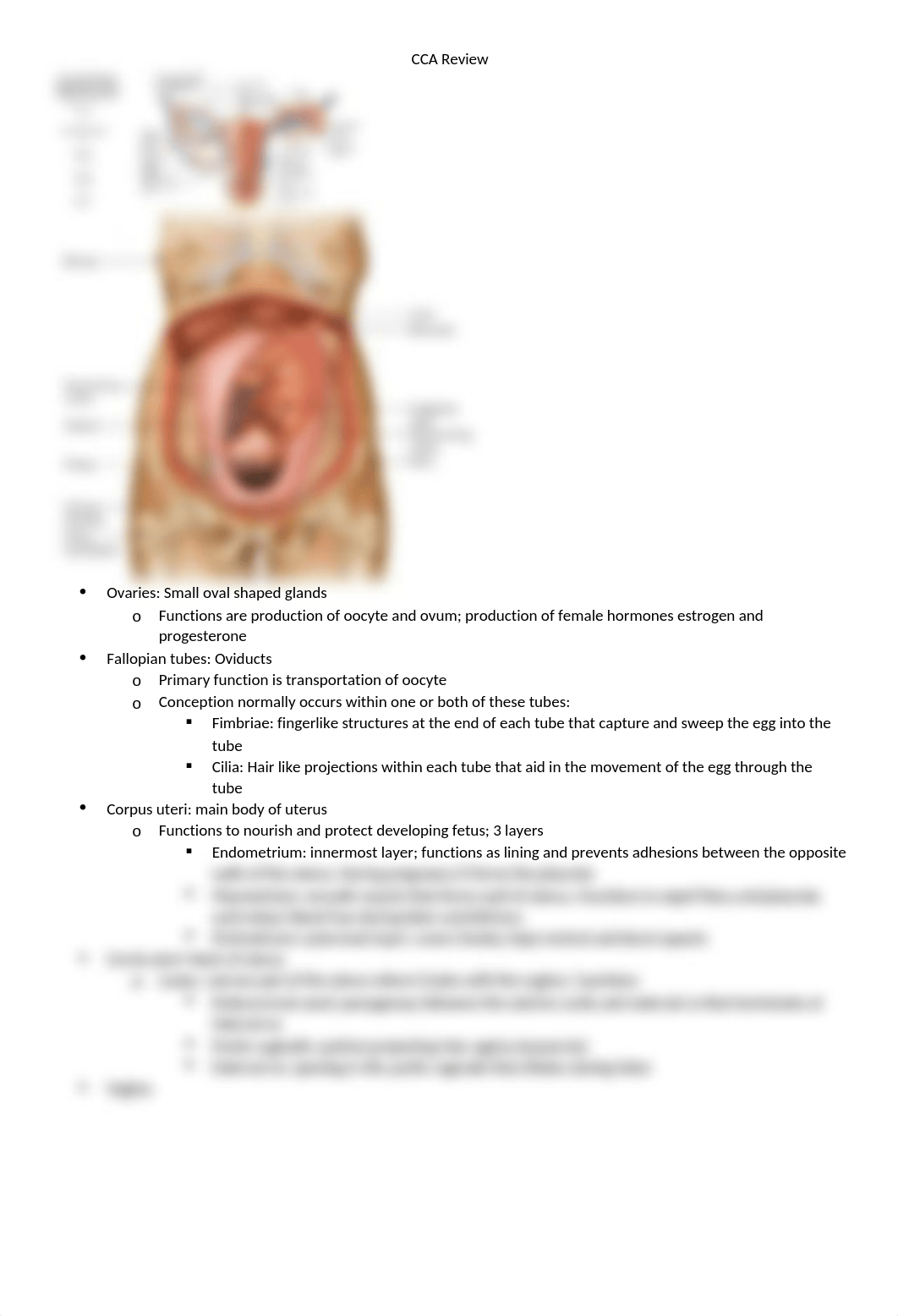 Ch14Notes.docx_dimtmdwgtrt_page2