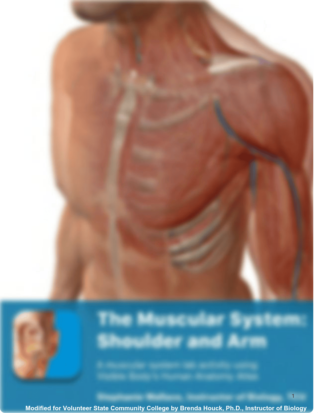 Shoulder_and_Arm_Muscles_VB_Exercise.pdf_dimuodevojb_page1