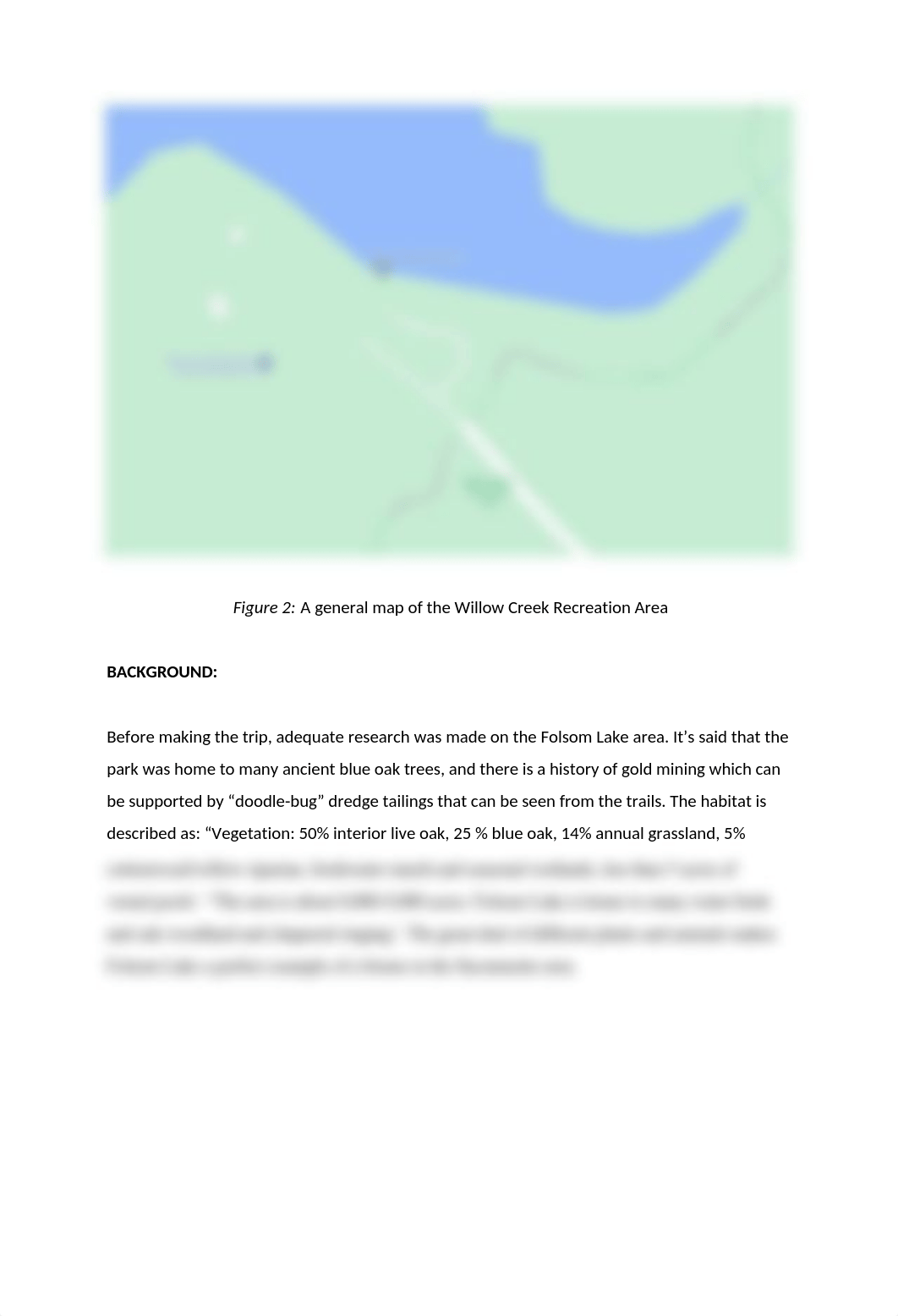 Geol- Field Report.docx_dimvnvp5ckx_page2