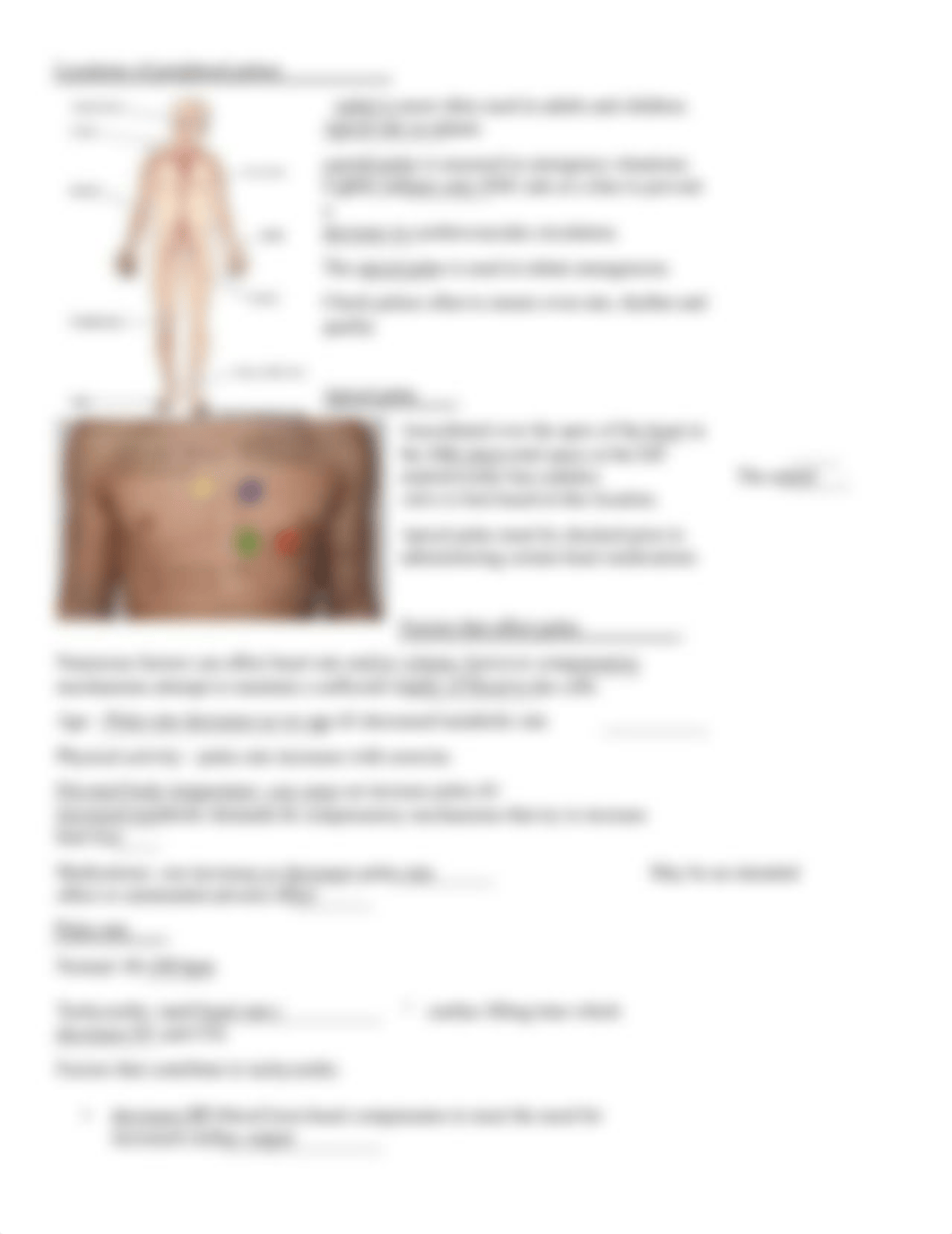 Vital Signs Worksheet.pdf_din0o1rc7lb_page4