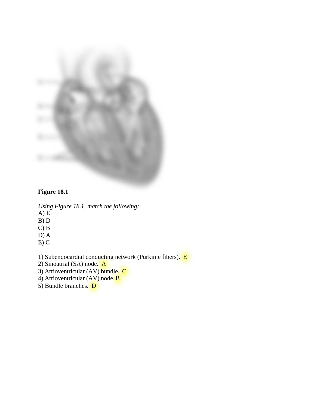 Chapter 18 Answer key .docx_din0prq0me5_page1