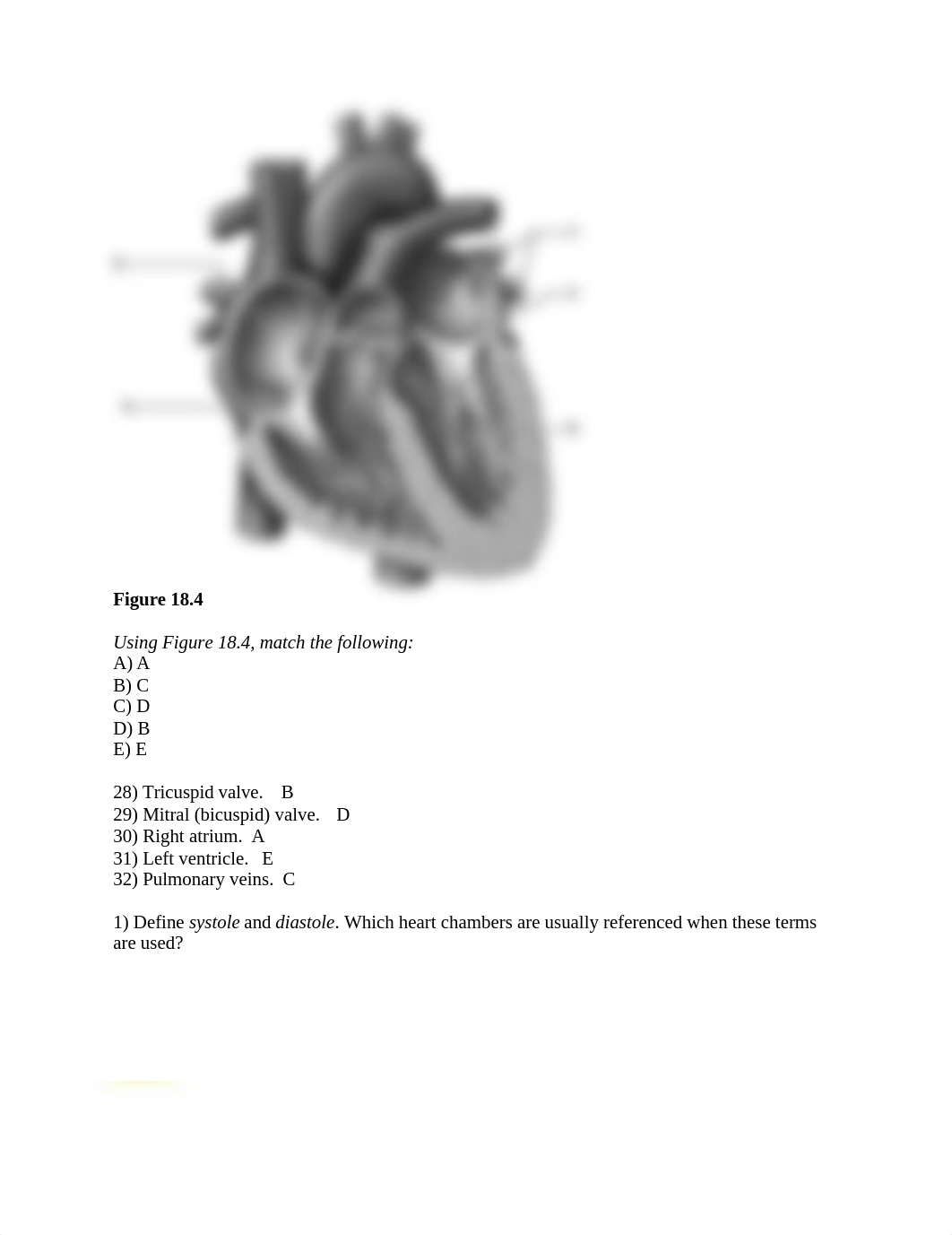 Chapter 18 Answer key .docx_din0prq0me5_page5