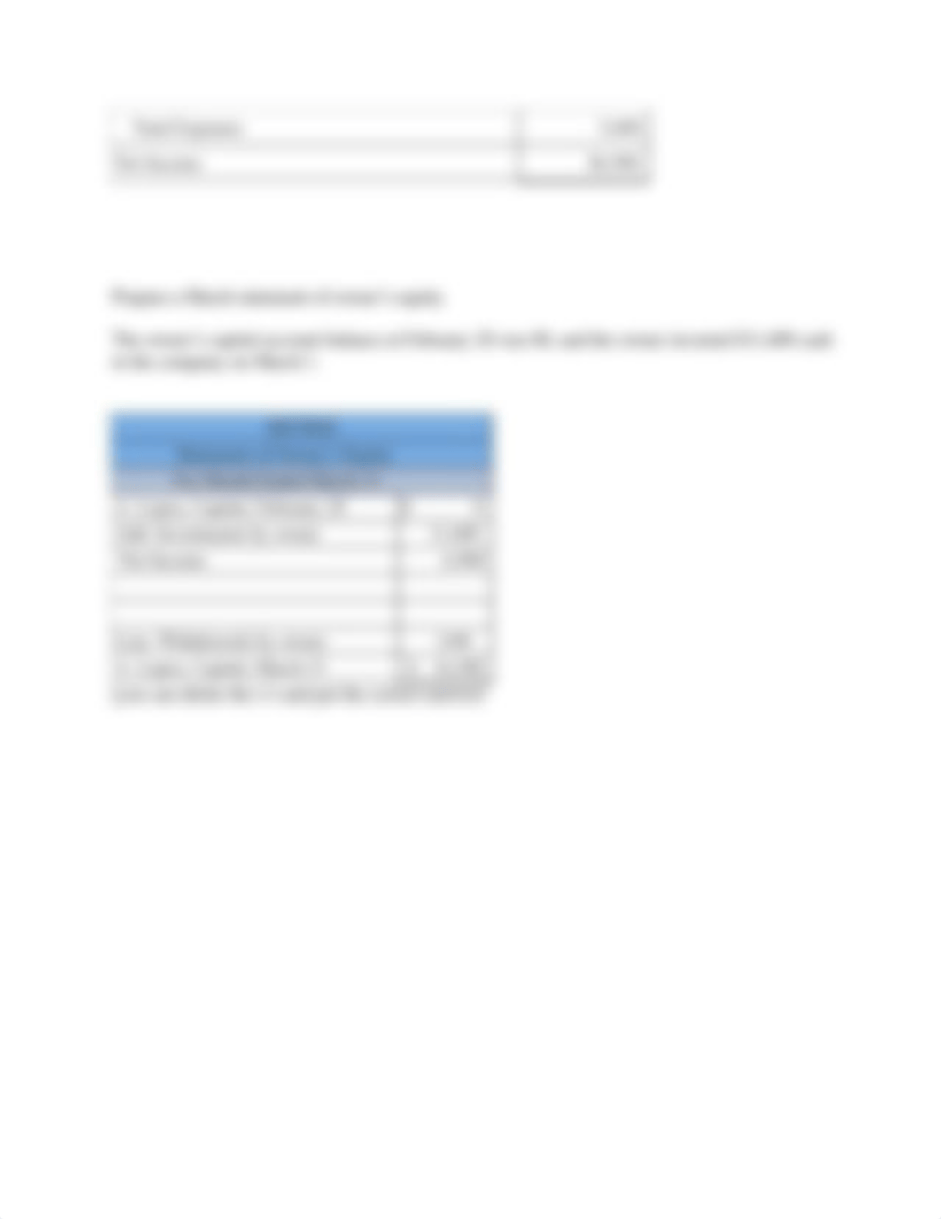 Chapter 2 Financial Statement Problem.docx_din134licgq_page2