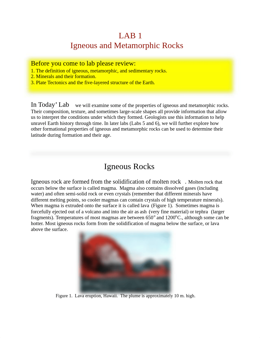 Lab 1  Igneous and Metamorphic Rocks.pdf_din4t1ctcci_page1