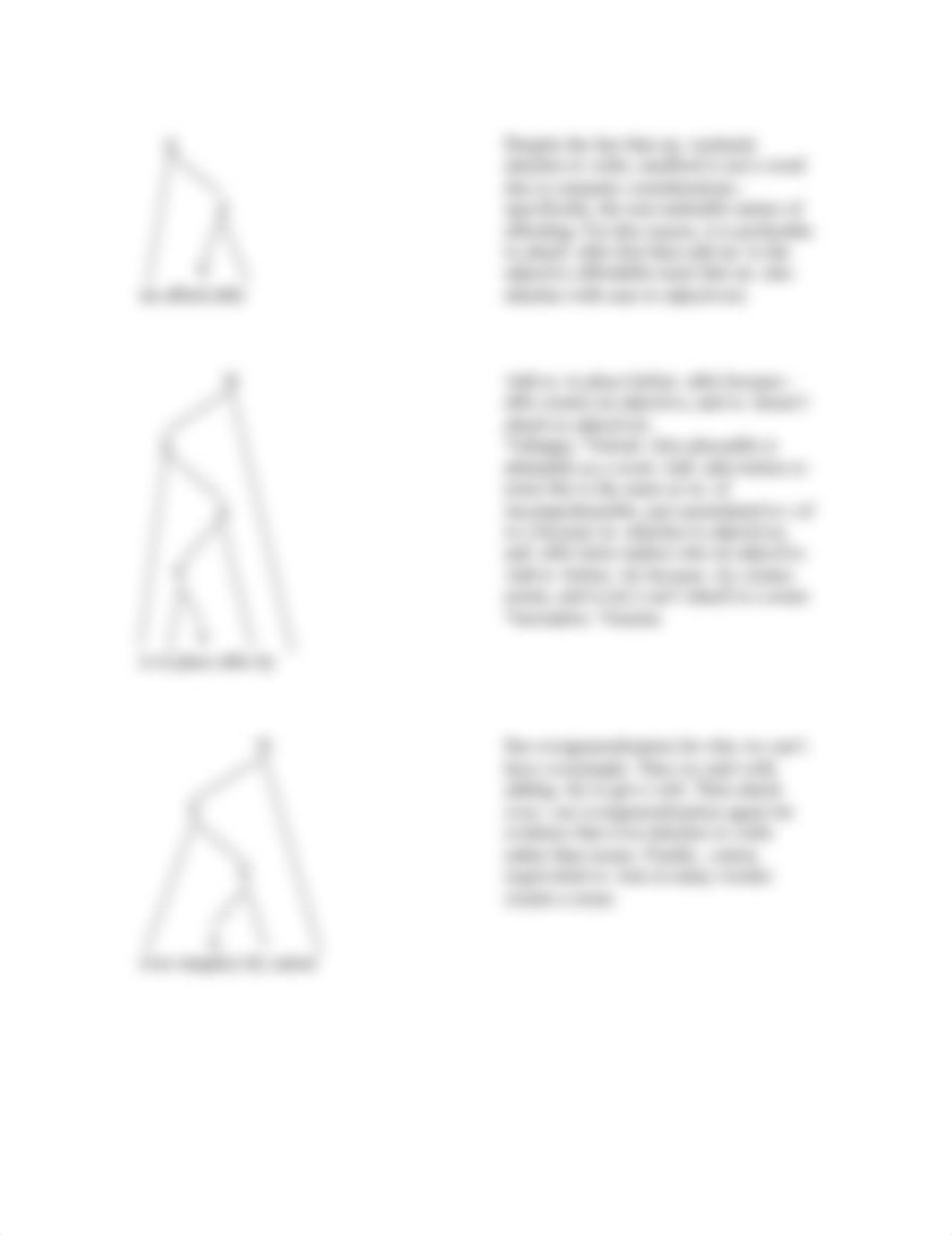 Morphology Tree Practice_din5pvbz3mn_page4