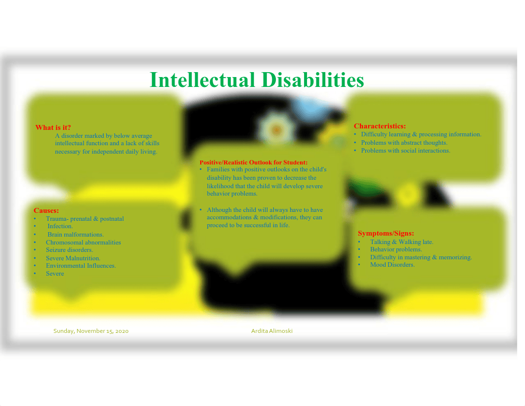 Intellectual Disabilities Fact Sheet-Final (1).pdf_din8nyy1mij_page1