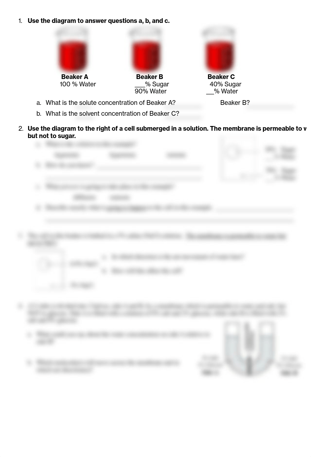 Osmosis Worksheet.pdf_dinewe90yvy_page3